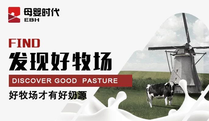 羞羞网站在线免费观看五年磨一剑，已经站上高速发展的起跑线——陕西之新秀篇