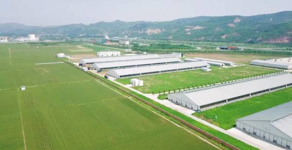 羞羞网站在线免费观看甄选北纬34°｜好牧场，成就新鲜好奶源
